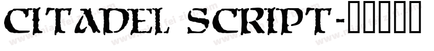 Citadel Script字体转换
